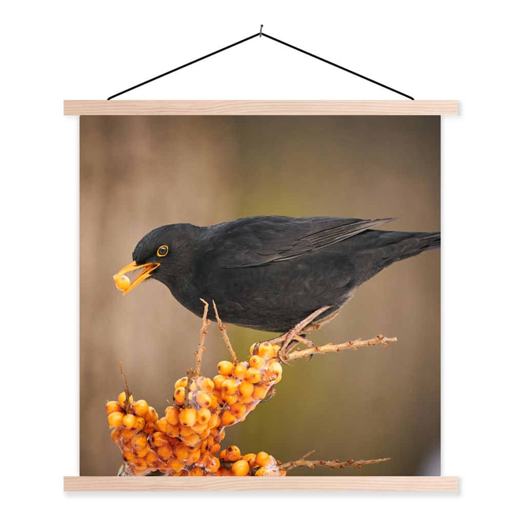 MuchoWow Textilposter Vogel - Amsel - Winter - Eis - Beere 60x60 cm mit holzfarbenen Rahmen - Wanddekoration