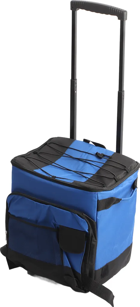 Chariot de courses isotherme 35L idéal pour transporter vos produits frais