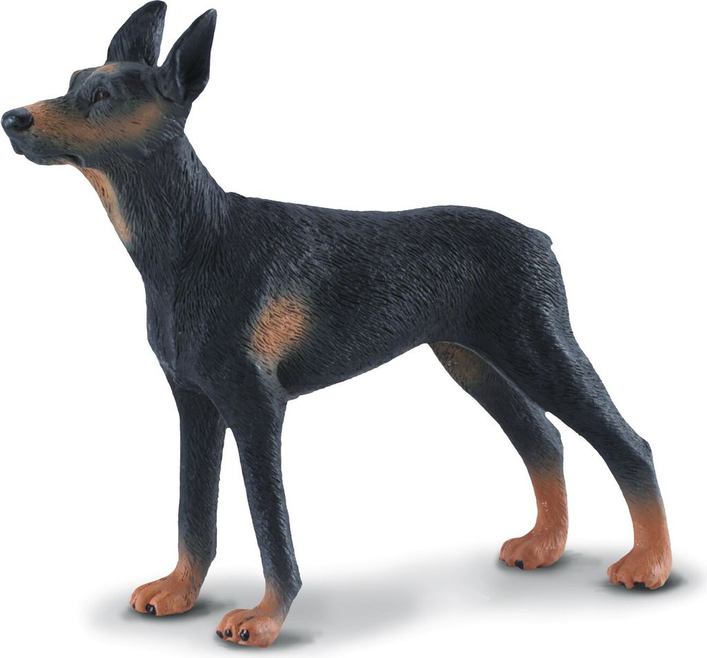 COLLECTA Dobermann Pinscher - (L)