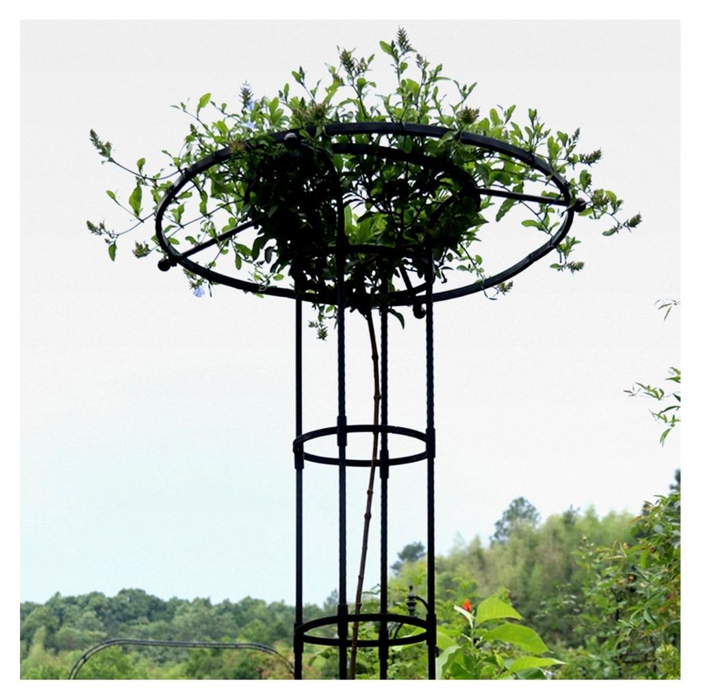 Stabile Rankhilfen für Kletterpflanzen, Rankhilfe für Himbeeren, vertikale Blumenstütze, vertikales Gartendesign mit Metall-Rankturm für Blumen...