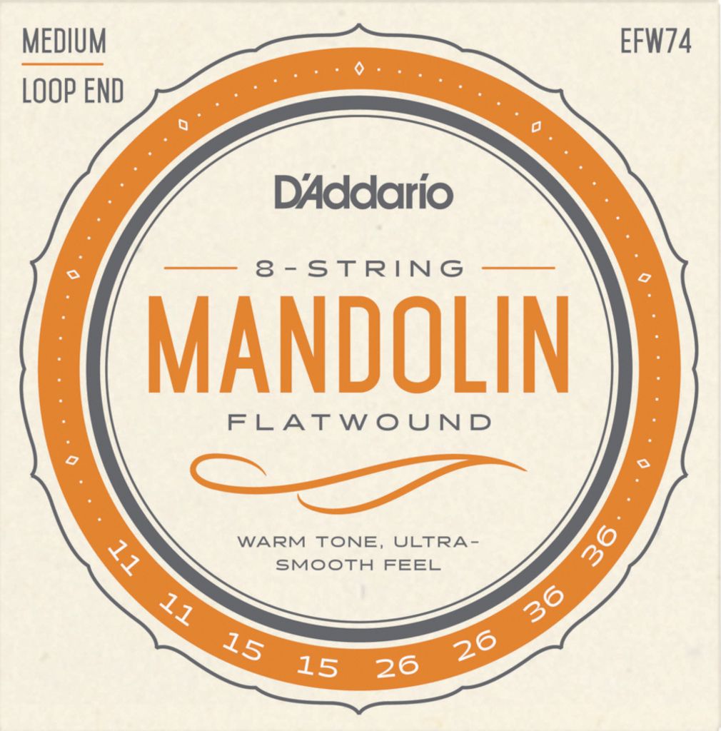 D'Addario EFW74 flatwound - loop End Produktbild 