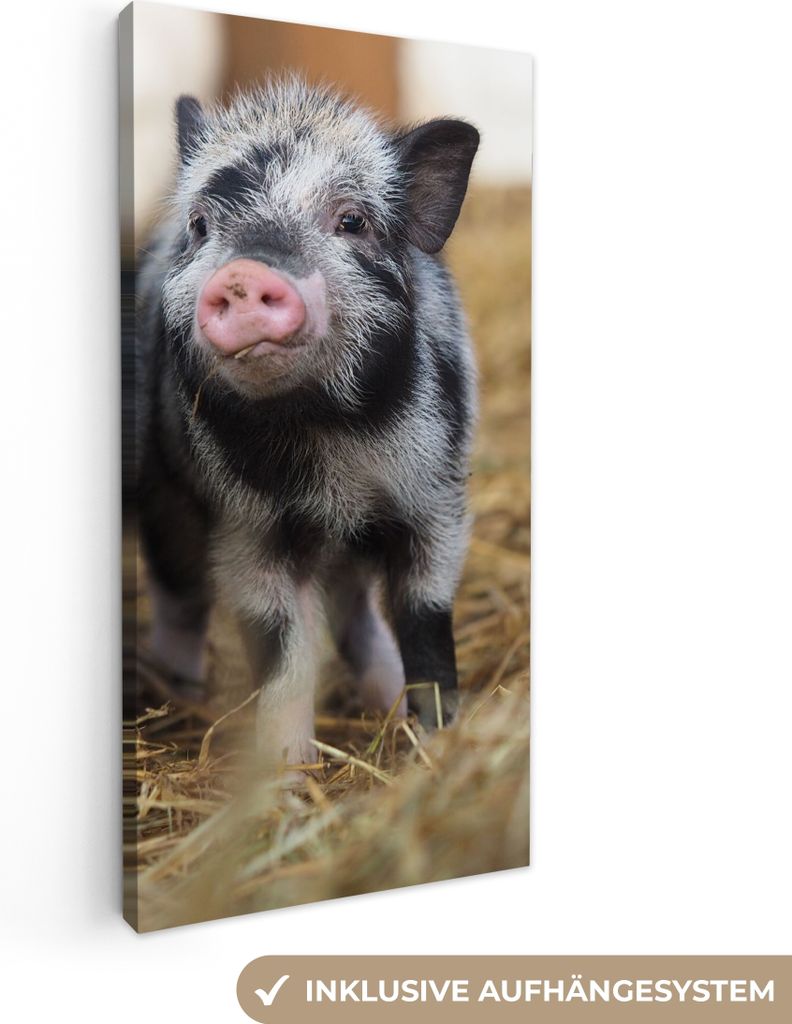MuchoWow - Leinwandbilder - Schwein - Tiere - Ferkel, Wandbild, Wanddeko Bilder Wohnzimmer, 20x40 cm