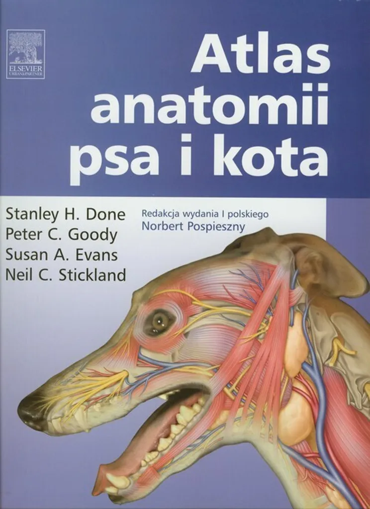 Atlas d'anatomie canine et féline pour diagnostic clinique rapide
