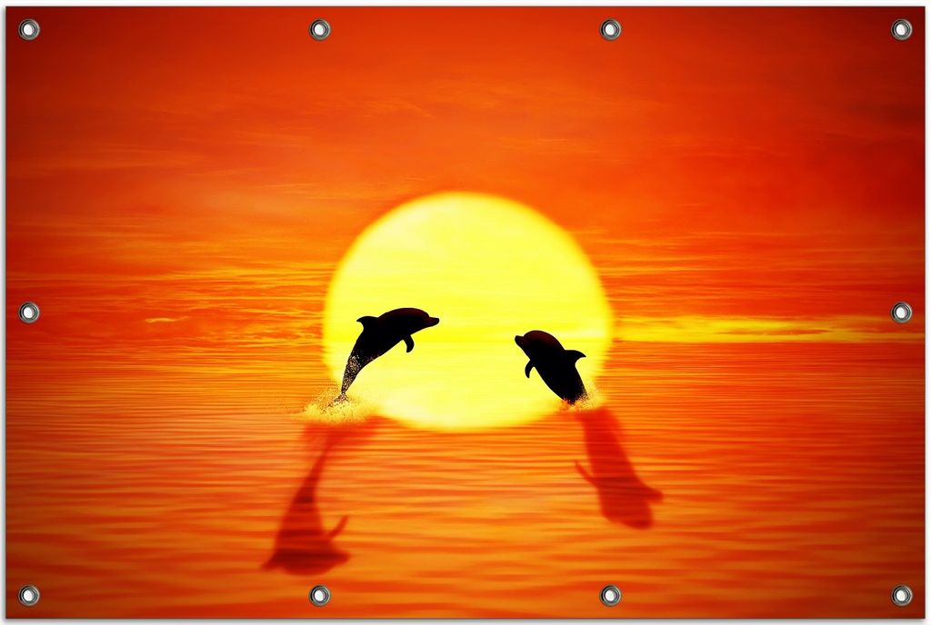 Wallario Outdoor-Poster für Garten oder Balkon, Motiv Delphine im Sonnenuntergang, in ca. 80 x 120 cm