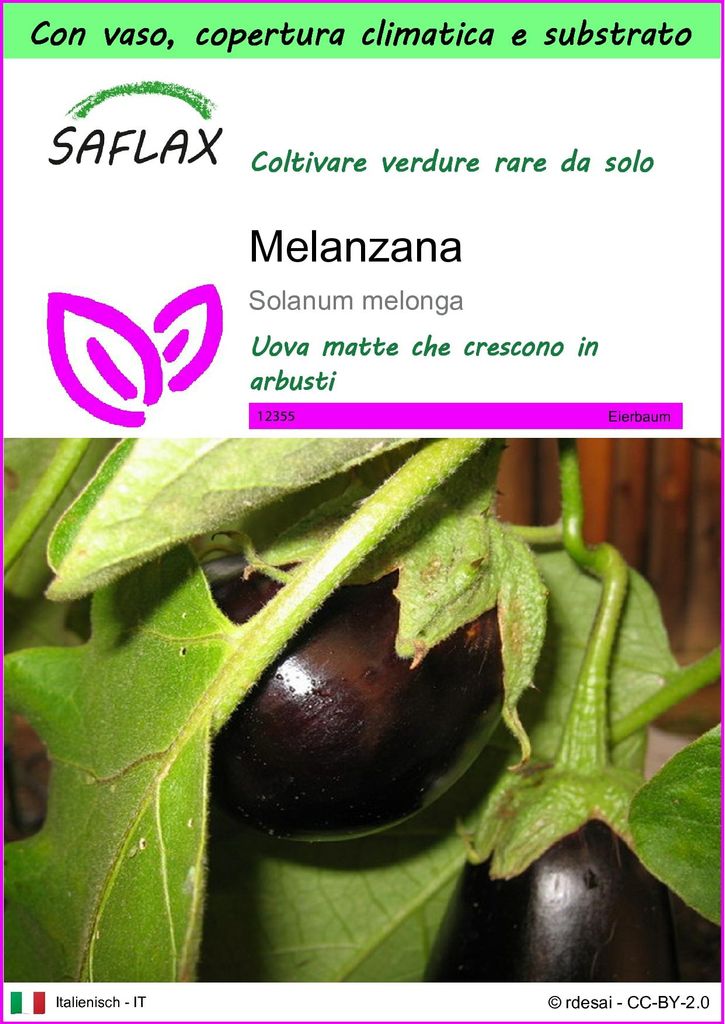 SAFLAX Garden to go - Melanzana - 20 semi - Solanum Immagine del prodotto 
