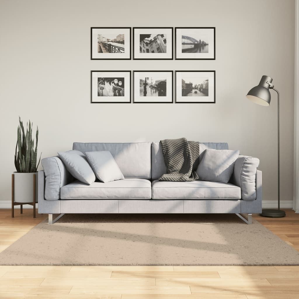 "im Angebot" Teppich HUARTE Kurzflor Weich und Waschbar Sandfarben 160x160cm - Designerteppiche CC17236