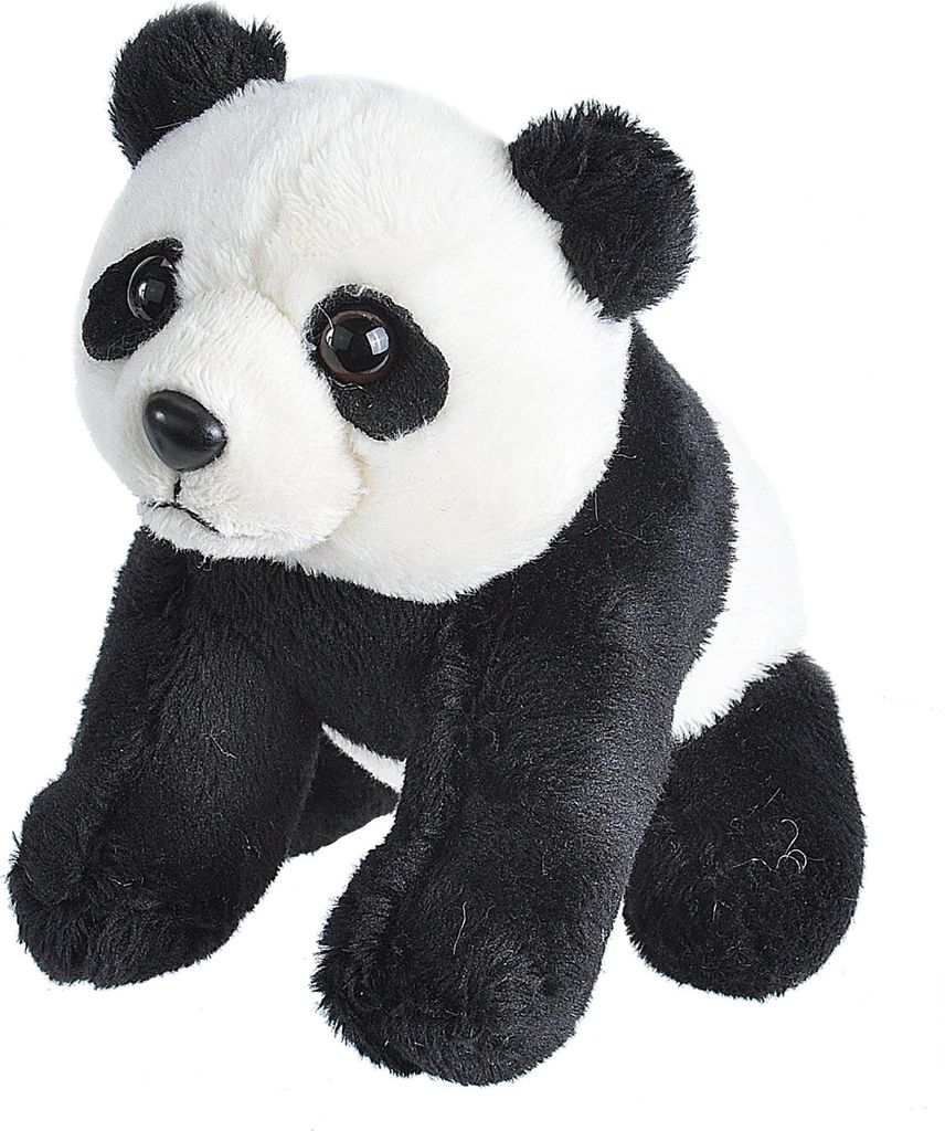 Pluszowa panda kieszonkowa – 13 cm Zdjęcie produktu 