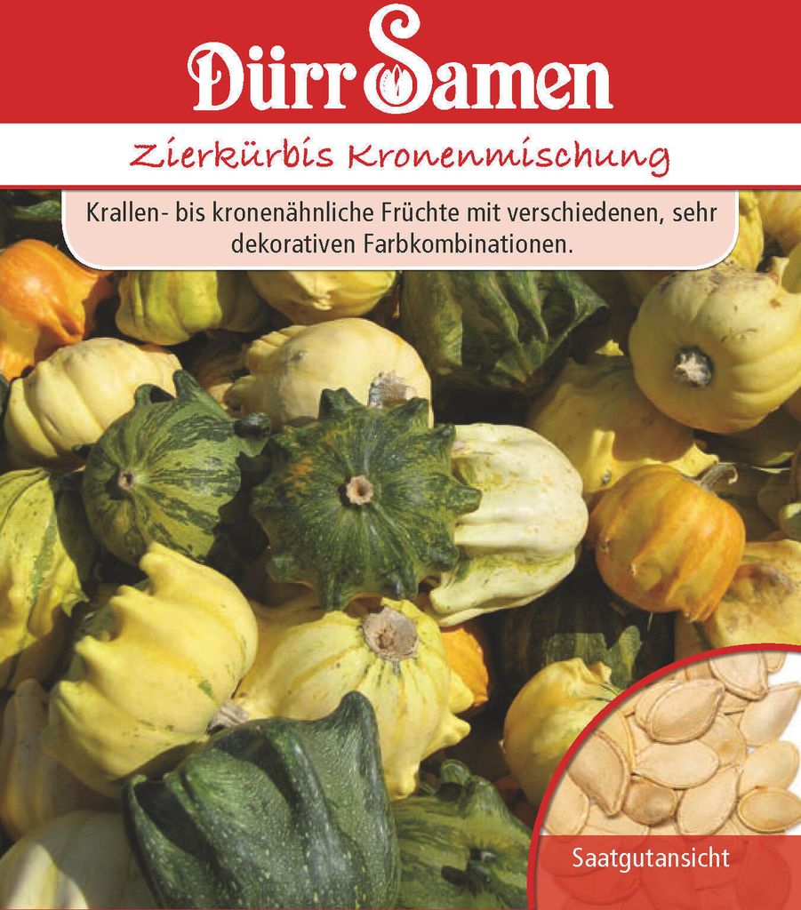 Dürr-Samen - Zierkürbis Kronenförmige Mischung - Saatgut - 1803
