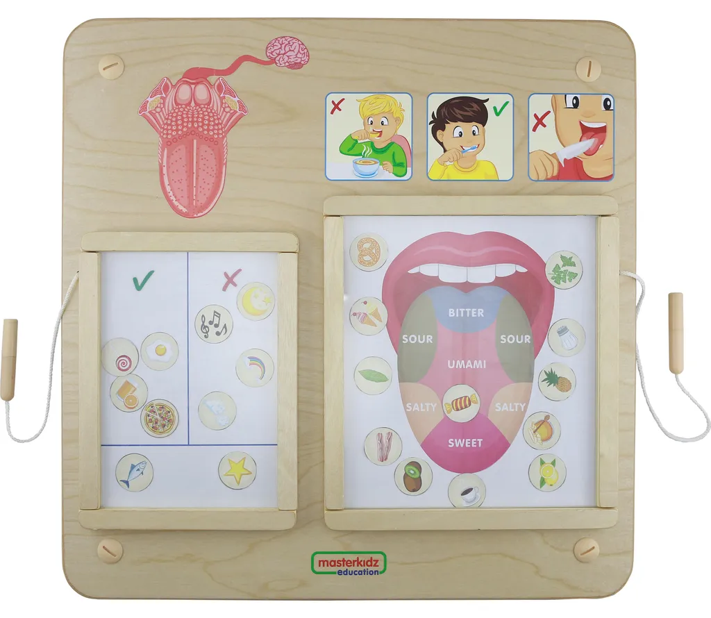Apprendre les 4 saveurs avec le tableau du goût Montessori Masterkidz