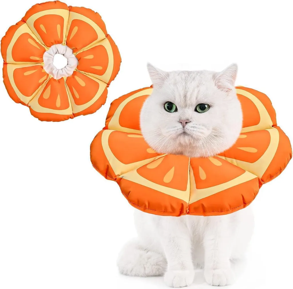 Collare Avont per gatti, collare anti-leccamento - S|M Mandarine Small