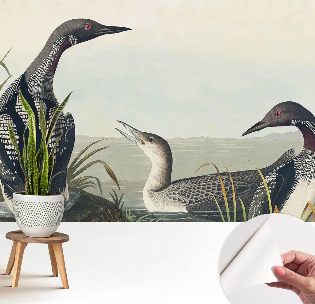 Fototapete selbstklebend - 208x146 cm - Tapete - Wandtapete - Wandbilder - Klebefolie - Dekofolie - Tapete Folie - Wand - Dekoration - Wohnzimmer -...