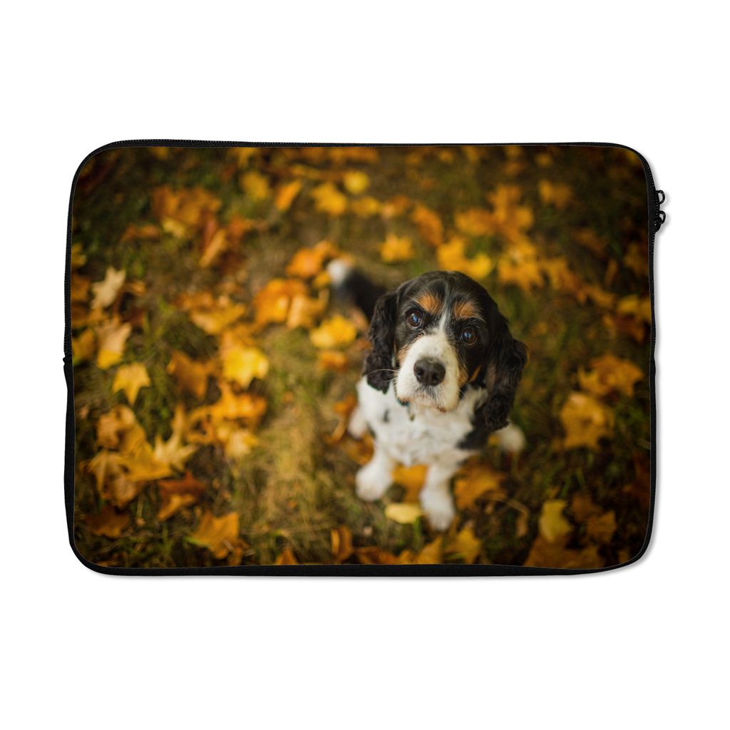 MuchoWow Laptop Hülle 13 Zoll Cavalier King Charles Spaniel zwischen gelben und orangefarbenen Herbstblättern Laptoptasche - Laptophülle - Sle...