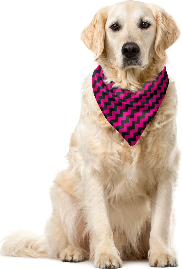 ABAKUHAUS Teen Zimmer Haustier Bandana, Chevron-Linien Kurven, 40x40 cm, Magenta und Schwarz