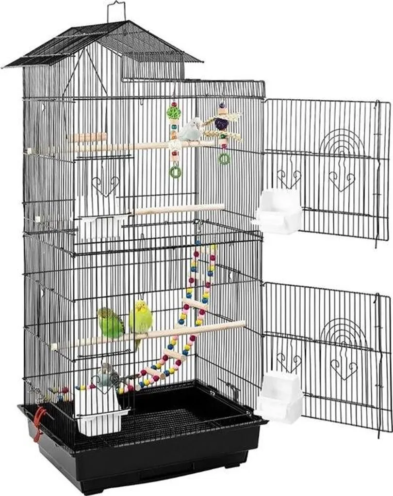 Volière intérieure pour oiseaux domestiques avec jouets et perchoirs