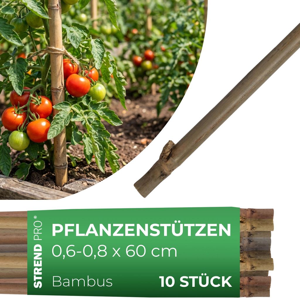 Stab Garden KBT 600/6-8 mm, Pack. 10 Stk., Bambus, Produktbild 