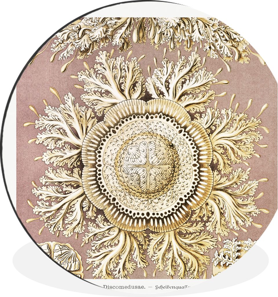 MuchoWow Aluminium Wandkreis Jahrgang - Ernst Haeckel - Qualle - Kunst Ø 30 cm Wanddeko Modern Wohnzimmer - Wand Bild - Wohnzimmer - Runde Bilde...