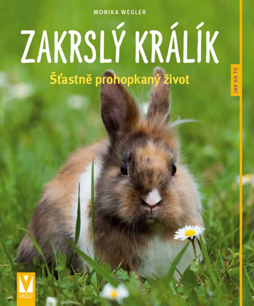 Livre Lapin Nain : solutions aux problèmes de comportement et santé