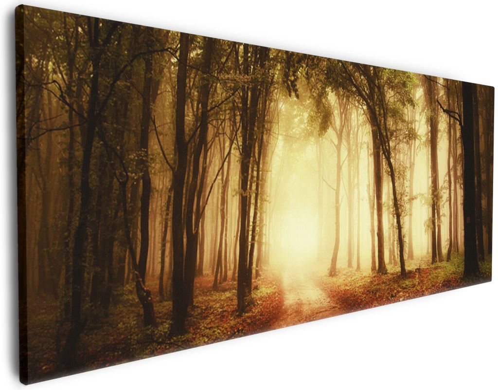 Wallario Premium Leinwandbild Sonnenuntergang auf dem Waldweg in Größe 80 x 200 cm
