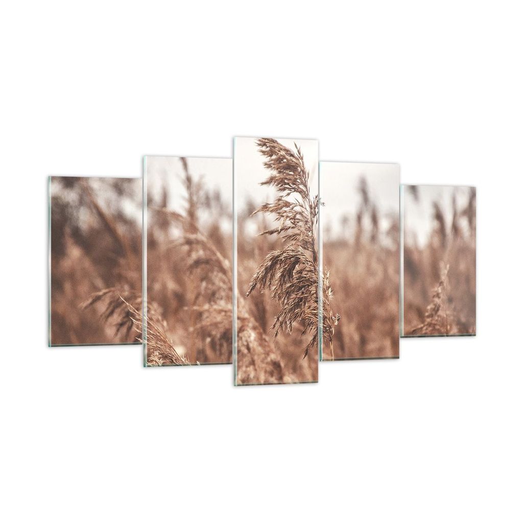 Bilder auf glas - 5 Teile - Zuckerrohr Wiese Boho - 160x85cm - Glasbilder - Wandbilder - Bilder - zum Aufhängen bereit - Wanddekoration aus Glas -...