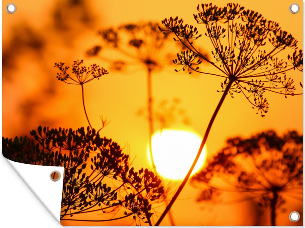 MuchoWow 120x90 cm Outdoor-Poster Gartendeko Sichtschutz Garten Poster für den Garten Pflanzen - Blumen - Sonnenuntergang - Orange