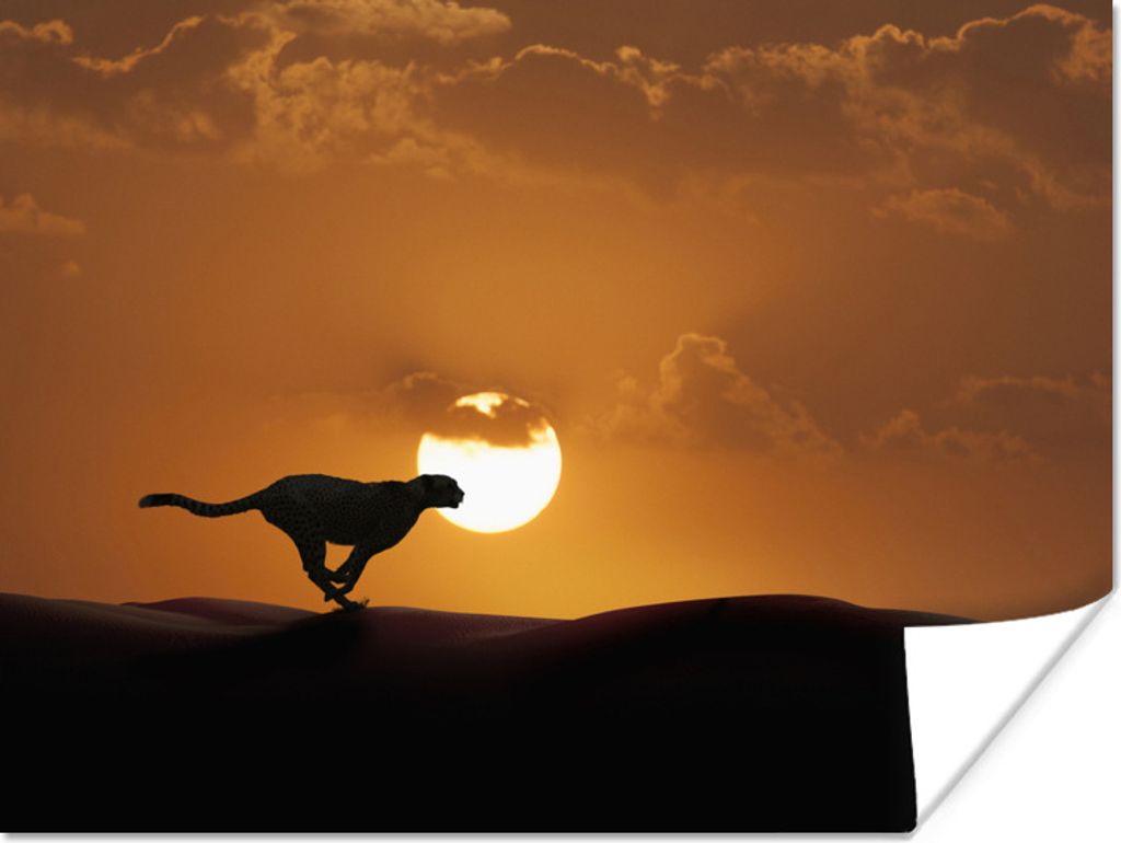MuchoWow Poster Silhouette eines Geparden in der Wüste 40x30 cm - Plakate für die Wände - Poster Wohnzimmer