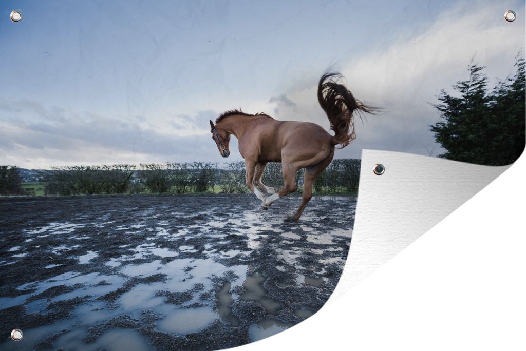 MuchoWow 90x60 cm Outdoor-Poster Gartendeko Sichtschutz Garten Poster für den Garten Ein bockendes Pferd in den Pfützen