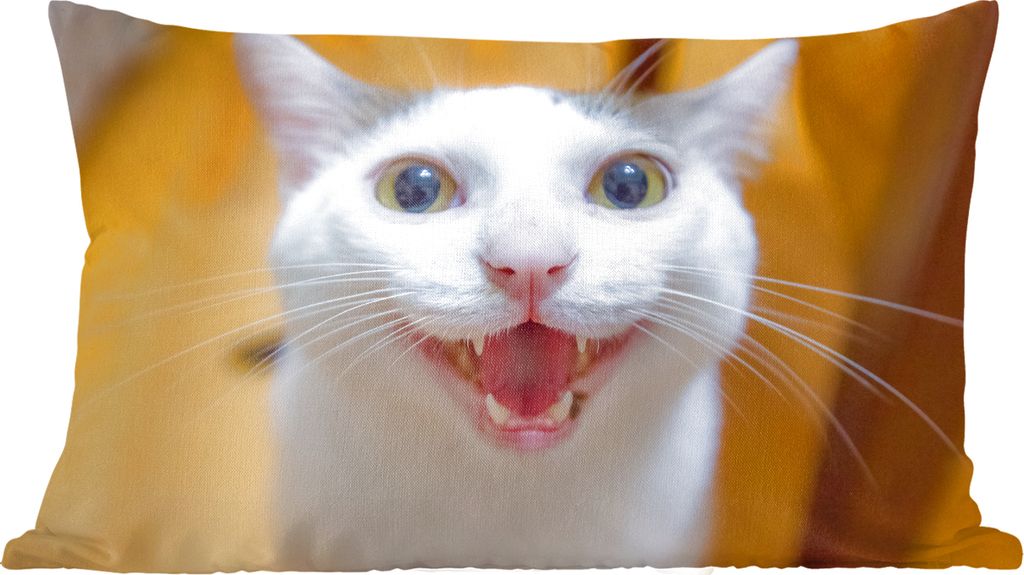 MuchoWow Zierkissen Sofakissen Wohnzimmer Dekokissen 50x30 cm Katze - Tier - Weiß - Wohnzimmerdekoration - Polster mit Photo