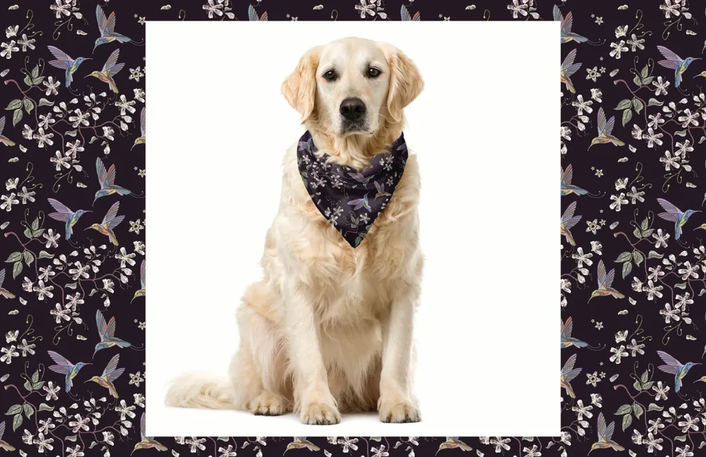 ABAKUHAUS Bandana Cane Lavabile 40x40 - Motivo Floreale Primavera