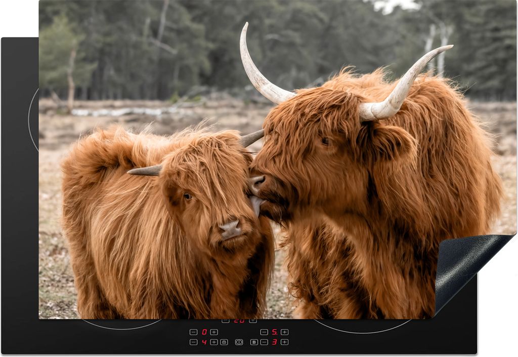 KitchenYeah Herdabdeckplatte Schottischer Highlander - Tiere - Wald , 76x51cm, Küche Deko, Glaskeramikfeld Herdabdeckung, Abdeckplatte fùr Koch...