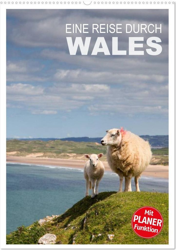 Eine Reise durch Wales (Wandkalender 2026 DIN A2 hoch), CALVENDO Monatskalender