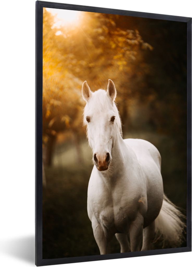 MuchoWow MuchoWow Gerahmtes Poster Pferd - Licht - Sonne 20x30 cm - Poster mit zchwarzem Bilderrahmen - Drucken - Bilder Poster im Rahmen