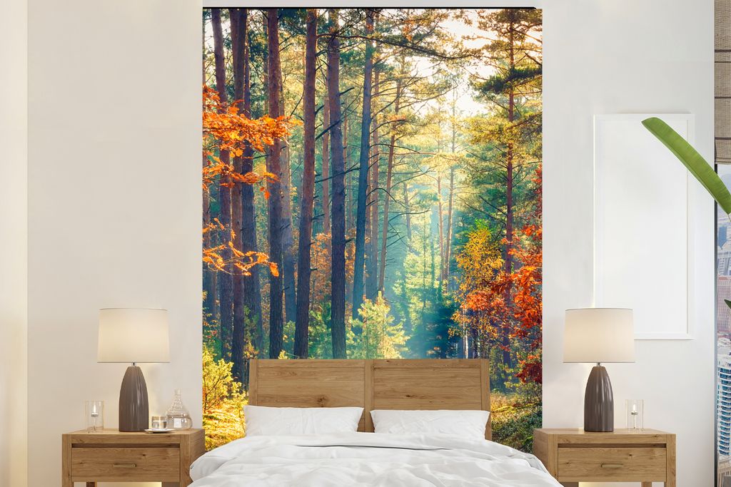 MuchoWow Fototapete für Wohnzimmer oder Schlafzimmer Wandtapete Vinyl Motivtapete Wald - Sonne - Natur - Herbst - 170x260 cm - Wohnzimmertapete