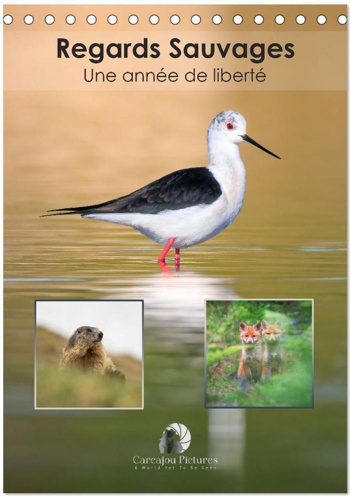 Regards sauvages - Une année de liberté (Calendrier de bureau 2026 DIN A5 horizontal), CALVENDO calendrier mensuel