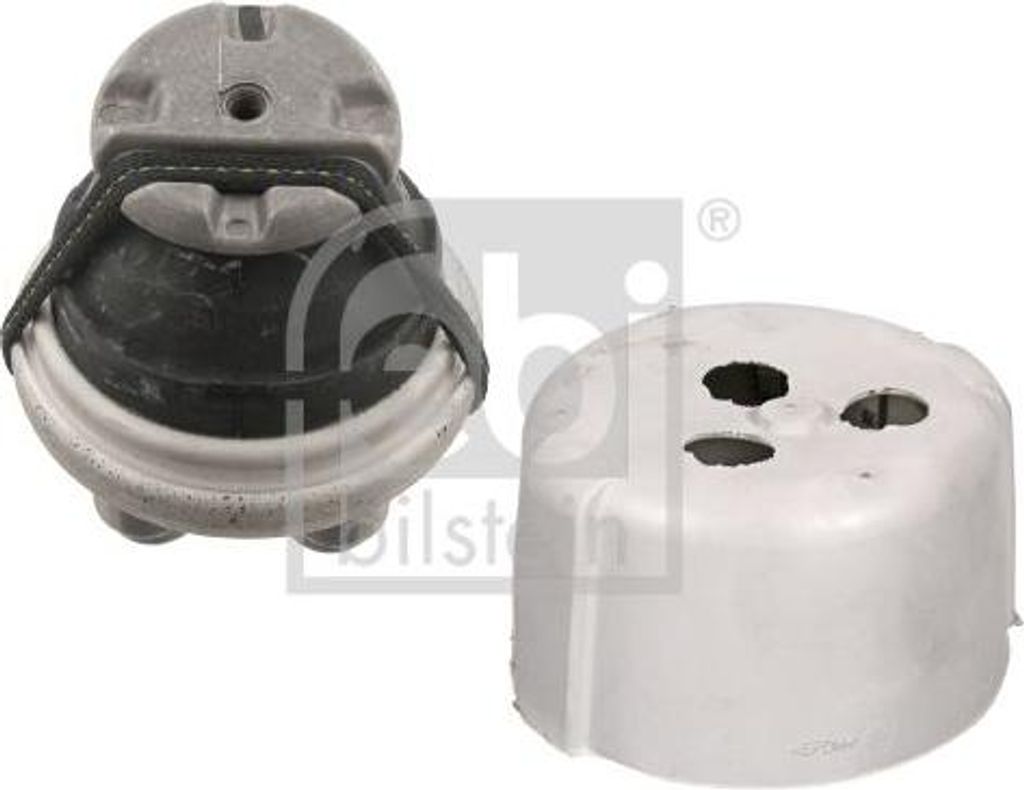 FEBI BILSTEIN 29511 Lagerung, Motor OE A2162400017 kompatibel mit S-Klasse, SL, E-Klasse