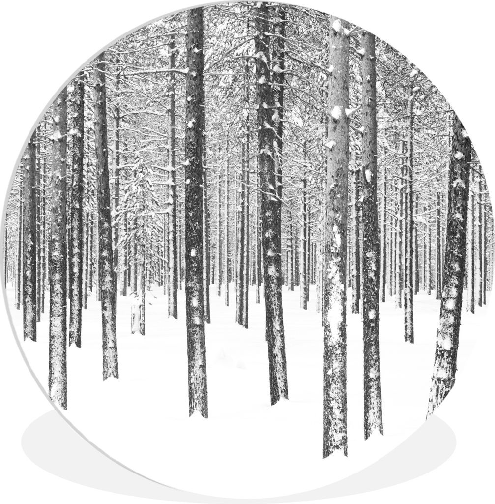 MuchoWow Rundes Wandbild - Runde Bilder Tannenbäume im Schnee Ø 30 cm Kreis Wanddekoration Kunststoff - Wandkreis - Wandschmuck - Schlafzimmer ...