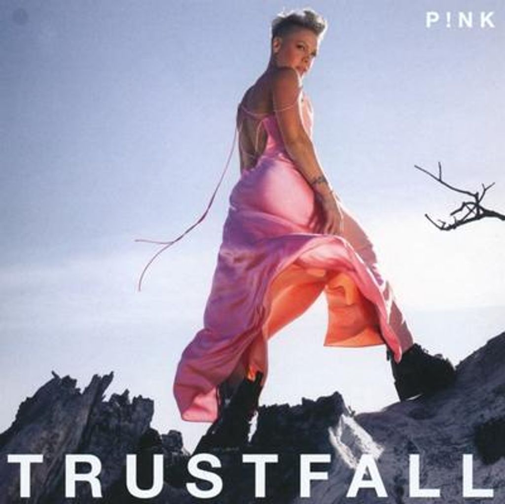 Trustfall Produktbild 