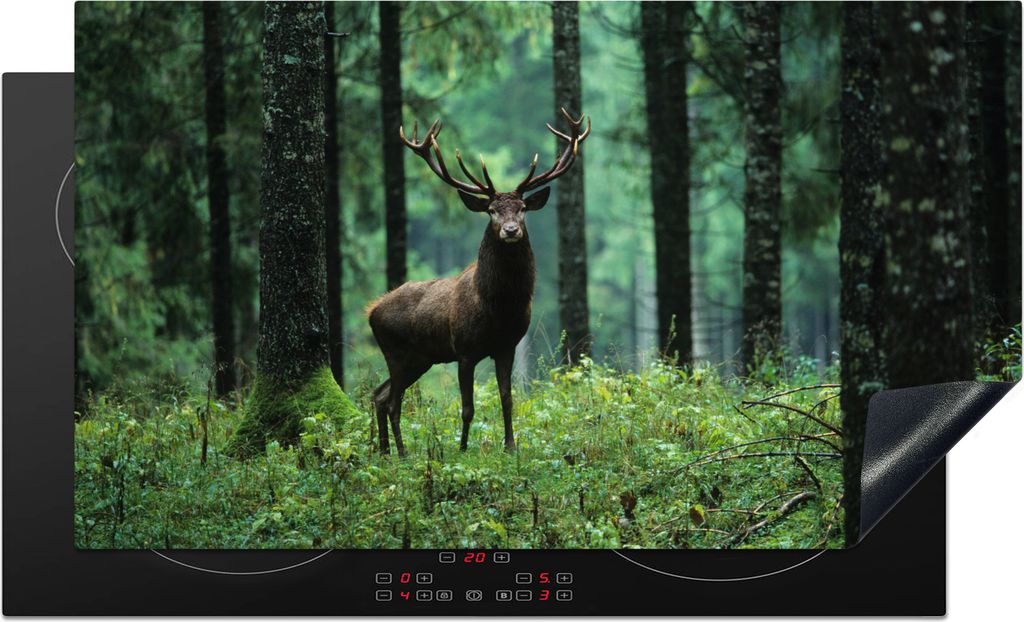 KitchenYeah Herdabdeckplatte Hirsche - Wald - Bäume - Tiere - Natur , 89x51cm, Küche Deko, Glaskeramikfeld Herdabdeckung, Abdeckplatte fùr Koc...