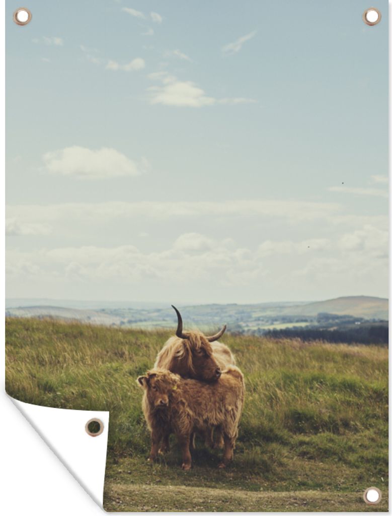 MuchoWow 30x40 cm Outdoor-Poster Gartendeko Sichtschutz Garten Poster für den Garten Schottische Highlander - Gras - Wolken - Tiere