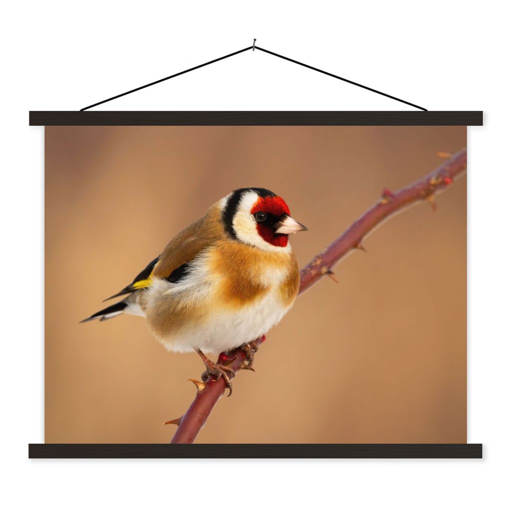 MuchoWow Textilposter Kropftaube - Vogel - Tiere 120x90 cm mit schwarzem Rahmen - Aufhänger für Poster