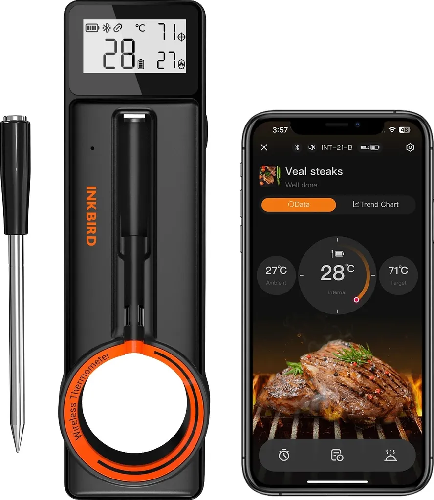 Thermomètre sans fil BBQ INT-21-B pour éviter les viandes trop cuites
