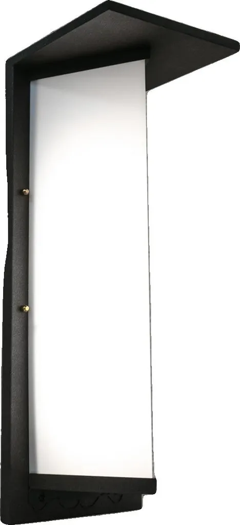 Applique murale IP55 étanche 12W en aluminium - Luminaire extérieur 51cm noir