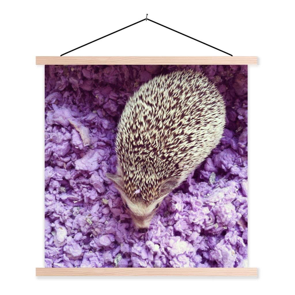 MuchoWow Textilposter Igel auf lila Baumwolle 40x40 cm mit holzfarbenen Rahmen - Posterleiste
