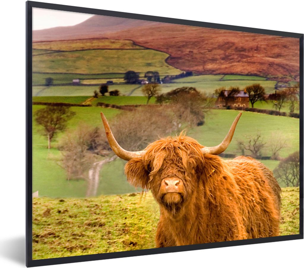 MuchoWow Gerahmtes Poster Schottischer Highlander - Berg - Herbst 80x60 cm - Poster mit Schwarzem Bilderrahmen Wandposter Rahmen Foto Bilder - Sc...
