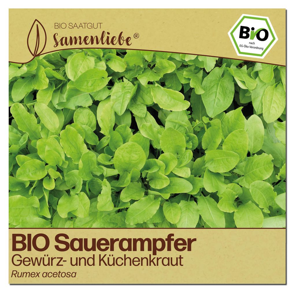 Samenliebe  Sauerampfer Samen | Wildkraut - winterhart & Produktbild 