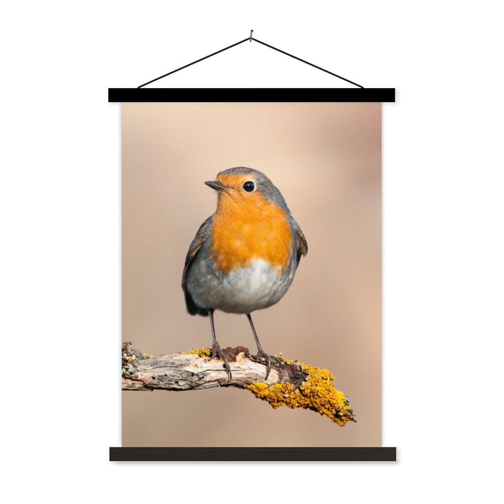 MuchoWow Textilposter Rotkehlchen - Vogel - Zweig - Tiere 120x160 cm mit schwarzem Rahmen - Magnetischer