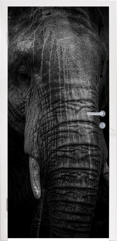 MuchoWow Türtapete Selbstklebende Türfolie Elefant auf schwarzem Hintergrund in schwarz und weiß 90x235 cm Türposter Türaufkleber Türklebef...