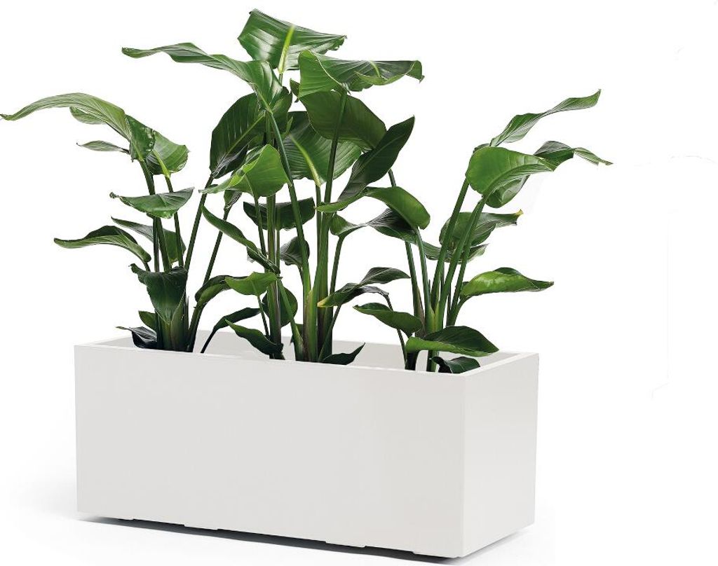 Pflanzkasten GREENER KEBE 100 cm wei Produktbild 