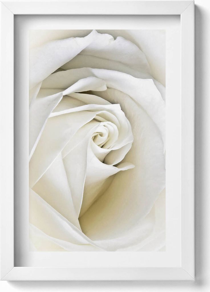 Zarte weiße Rosenblüten– Wandbild mit Rahmen – Gerahmtes Bild – Wanddekoration – 20x30 cm – Weiß