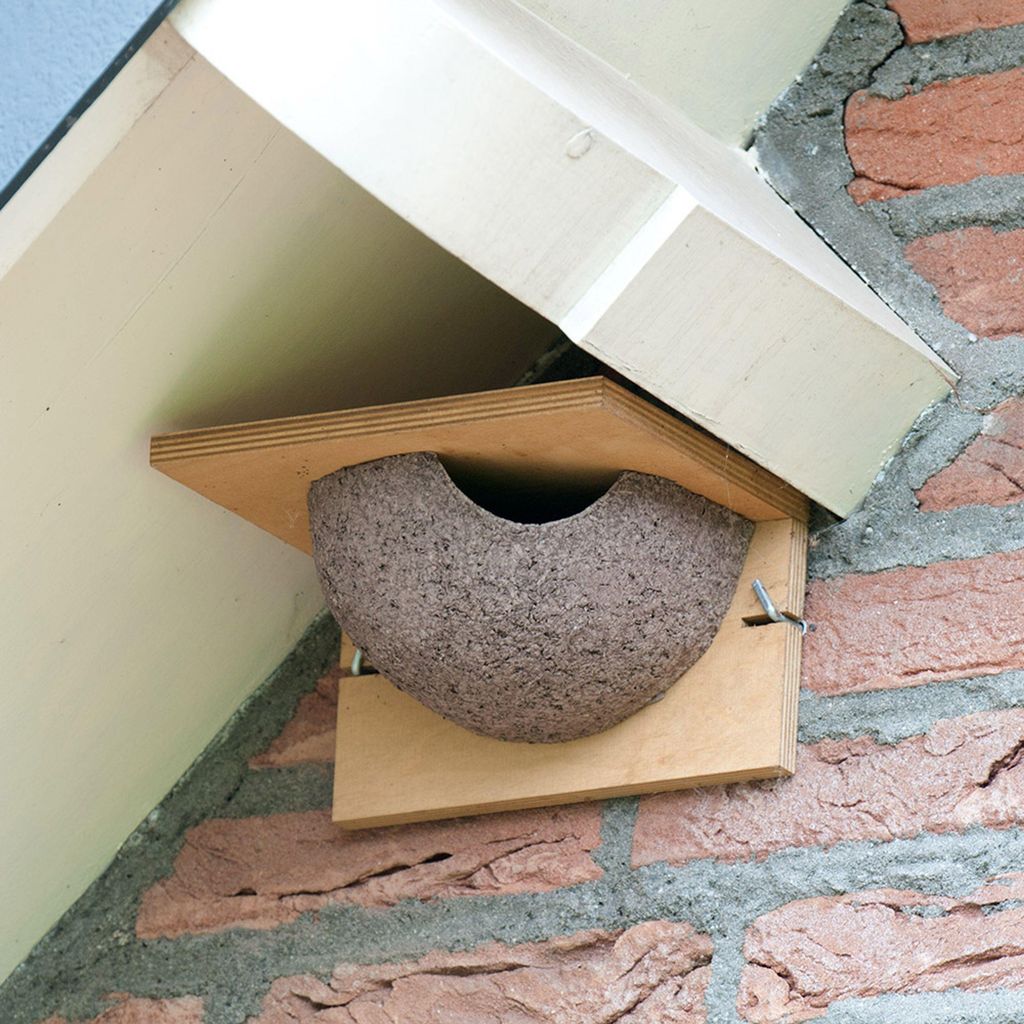 CJ Wildlife Nistkasten Mehlschwalbe - Holz ( Produktbild 