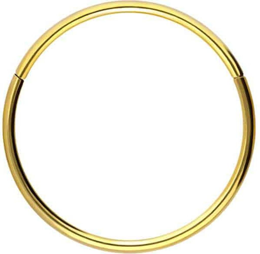 Ohrpiercing, Nasenpiercing, Septum Piercing Titan Segmentring Clicker Gold Innendurchmesser: 10mm + Stabstärke: 0,8mm